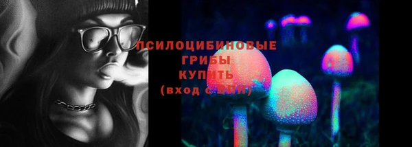 гидропоника Заволжск