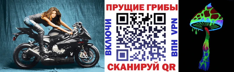 Псилоцибиновые грибы Psilocybe  Никольское 